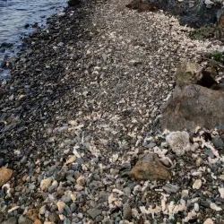 Waterlemon Cay - St John