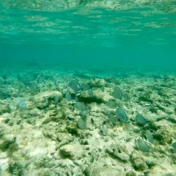 Coki Beach - St Thomas