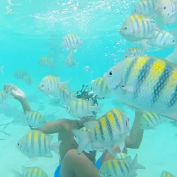 Coki Beach - St Thomas