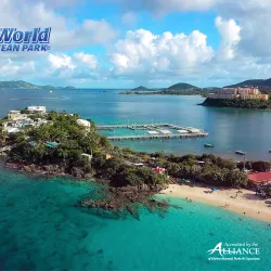 Coral World Ocean Park - St Thomas