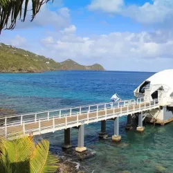 Coral World Ocean Park - St Thomas