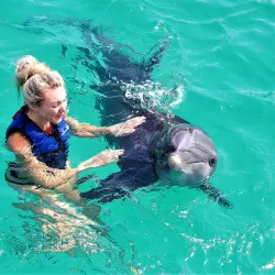 Coral World Ocean Park - St Thomas