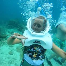 Coral World Ocean Park - St Thomas