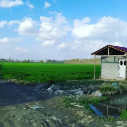 Asaka Central Park - Asaka