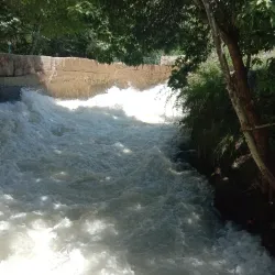 Asaka Central Park - Asaka