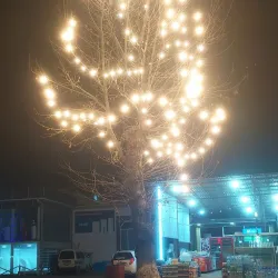 Asaka City Mosque - Asaka