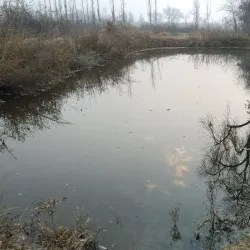 Asaka City Mosque - Asaka