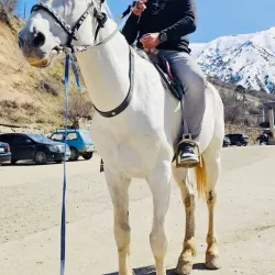 Chimgan Mountains - Chirchiq