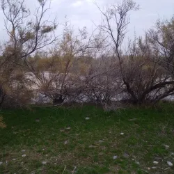 Chirchiq River - Chirchiq