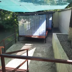 Local Tea Houses - Chirchiq