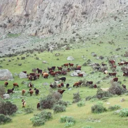 Nuratau Mountains - Chirchiq