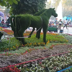 Babur Park - Fergana