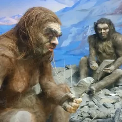 Fergana Regional Museum - Fergana