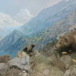 Fergana Regional Museum - Fergana