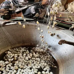 Fergana Silk Factory - Fergana