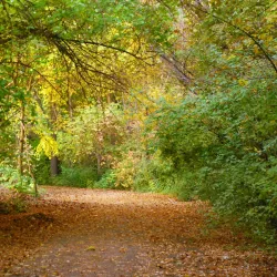 Botanical Garden of Guliston - Guliston