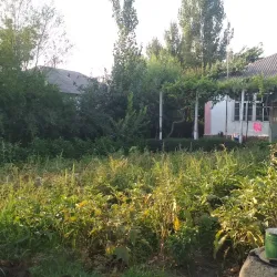 Cultural Palace of Guliston - Guliston