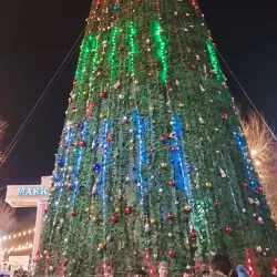 Guliston Central Park - Guliston