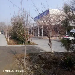 Guliston Central Park - Guliston