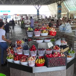 Local Bazaar - Guliston