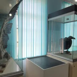 Sirdaryo Regional Museum - Guliston