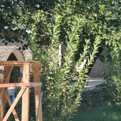 Jizzakh Central Mosque - Jizzax