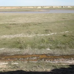 Whitewater Rafting on the Syr Darya River - Jizzax
