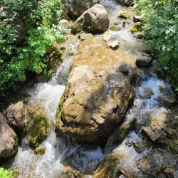 Zaamin National Park - Jizzax