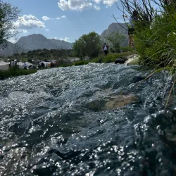 Zaamin National Park - Jizzax