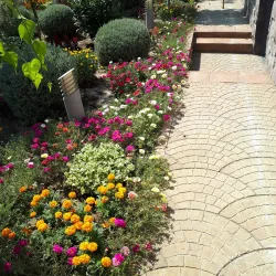 Alpomish Park - Keles