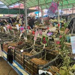 Chorsu Bazaar - Namangan