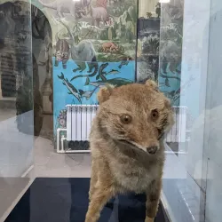 Namangan Regional Museum of Local Lore - Namangan