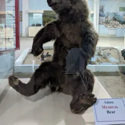 Namangan Regional Museum of Local Lore - Namangan