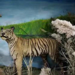 Karakalpak State Museum of Art - Nukus