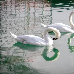 Central Park of Culture and Rest - Olmaliq