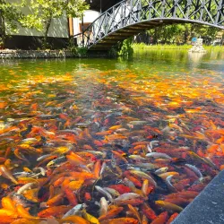 Central Park of Culture and Rest - Olmaliq