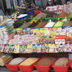 Local Market - Olmaliq