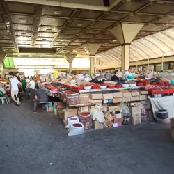 Local Market - Olmaliq