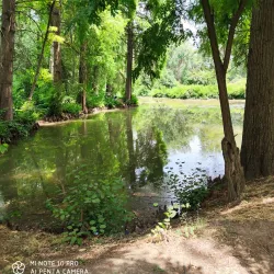 Olmaliq Botanical Garden - Olmaliq