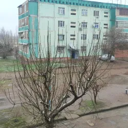 Olmaliq Central Mosque - Olmaliq