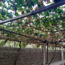 Fergana Valley - Oltiariq