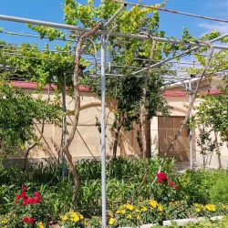 Local Handicraft Workshops - Oltiariq