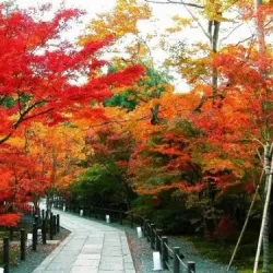 Oltiariq Historical Site - Oltiariq