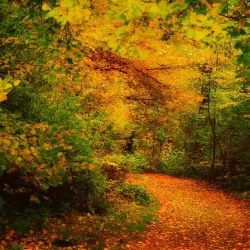 Oltiariq Historical Site - Oltiariq