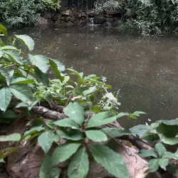 Chatkal Mountains - Piskent