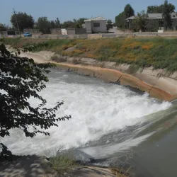 Piskent State Nature Reserve - Piskent