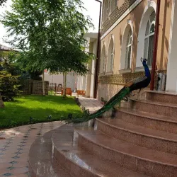 Traditional Uzbek Tea Houses - Piskent