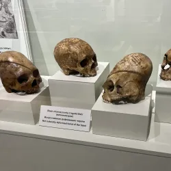 Afrosiab Museum and Archaeological Site - Samarkand