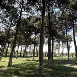 Termiz Central Park - Termiz