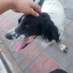 Amir Temur Park - Urganch